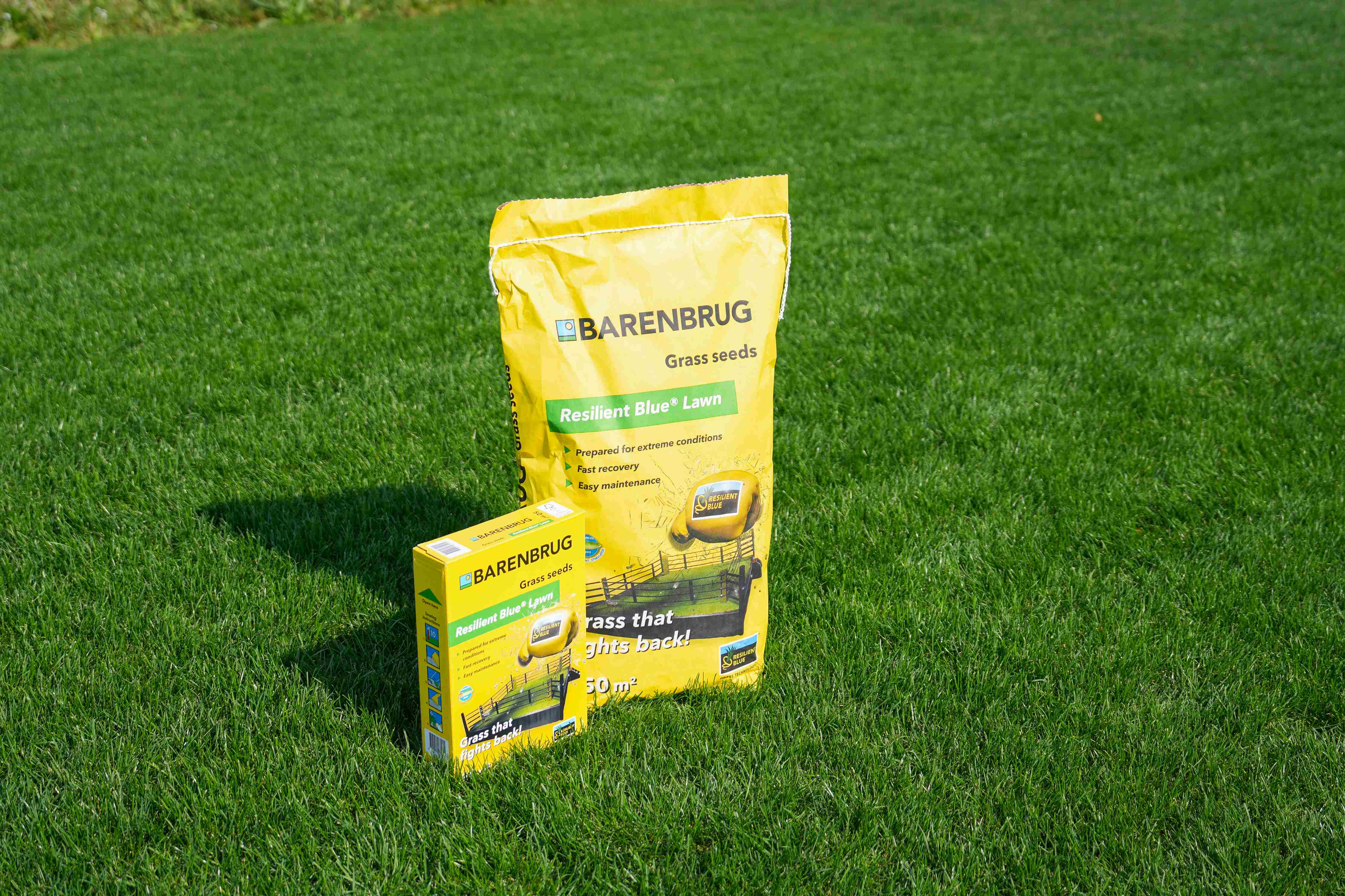 Resilient Blue Lawn 3.jpg